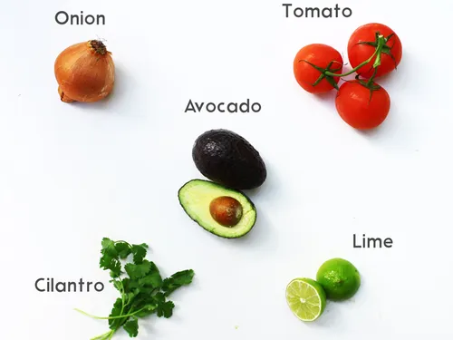 Ingredients for guacamole labeled -- onion, tomato, avocado, cilantro, and lime